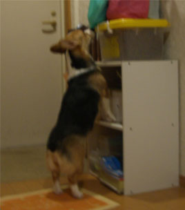 �t���}�Ƃ͊֌W�Ȃ����ǁE�E�E